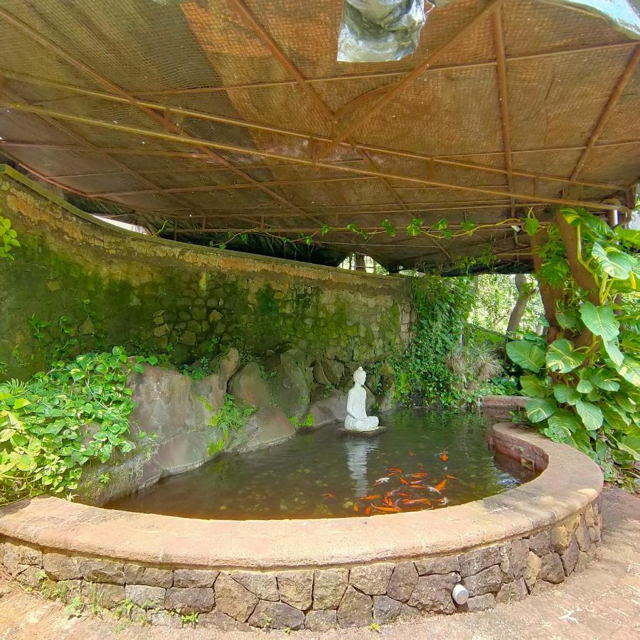 Silverador Resort 塞恩 外观 照片